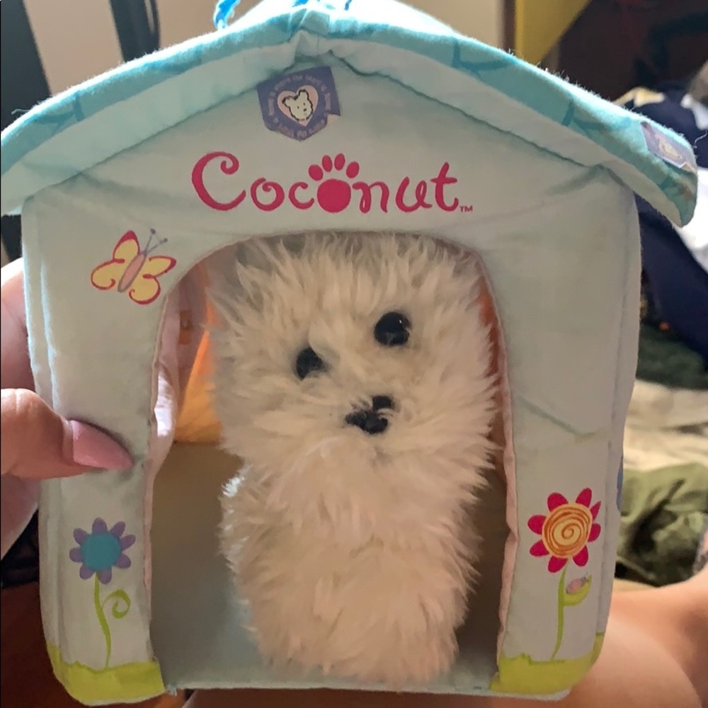 Original Coconut Dog from American Girl